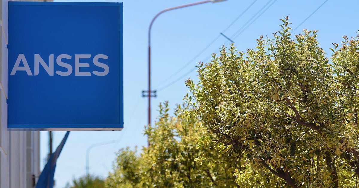 Calendario de pagos de ANSES para DNI terminado en 2: fechas, montos y bono de octubre