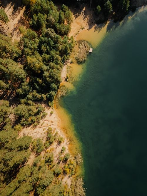 Una capillita de madera escondida entre coihues y arrayanes, en el corazón del lago Lácar
