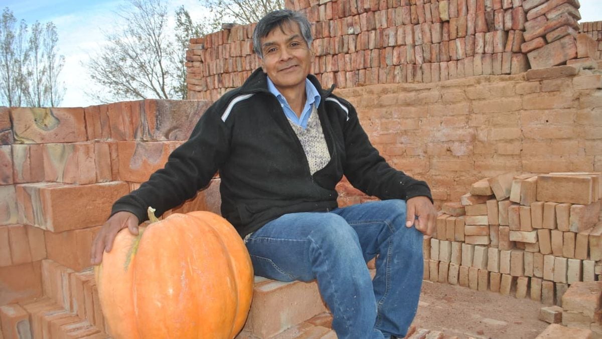Vuelve el concurso del zapallo gigante a Mariano Moreno y regala semillas para empezar la huerta en casa