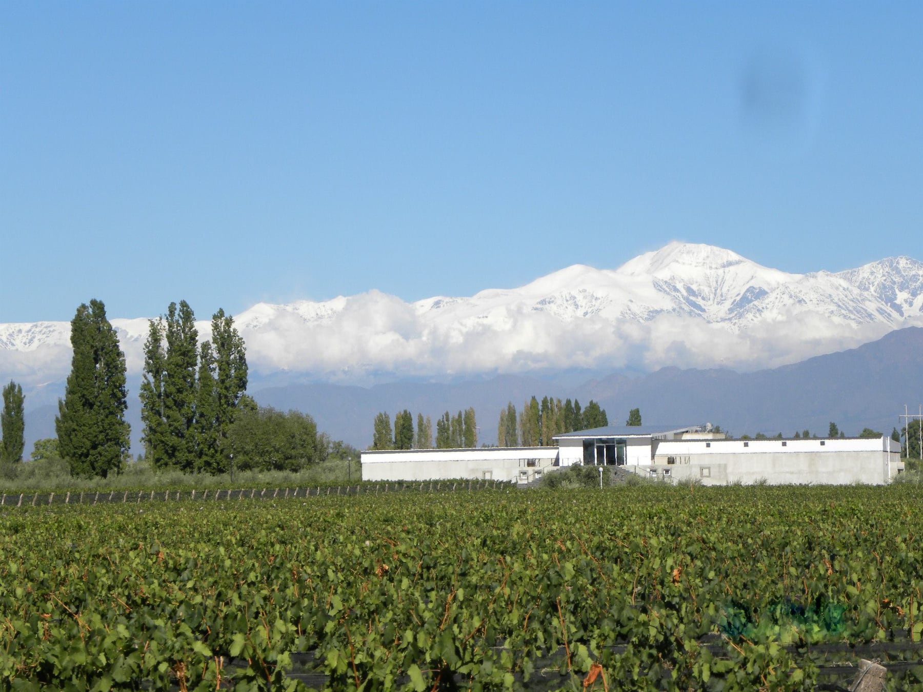 Chacras de Coria reconfigura su identidad y se planta como destino de estadía completa a la sombra de la cordillera mendocina