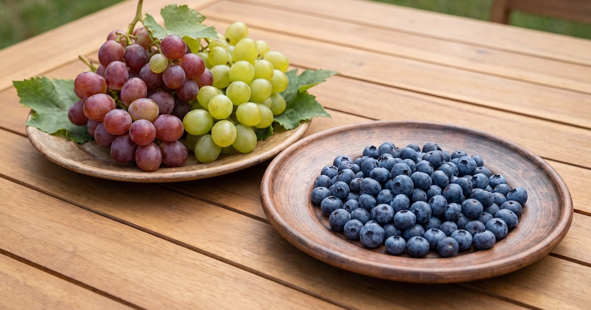 Arándanos o uvas: la fibra que frena el pico de glucosa y cómo armar un plato para que la fruta no juegue en contra