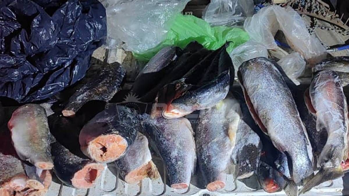 La ventana antes del 1 de noviembre: cómo es la pesca de pre temporada en los embalses neuquinos