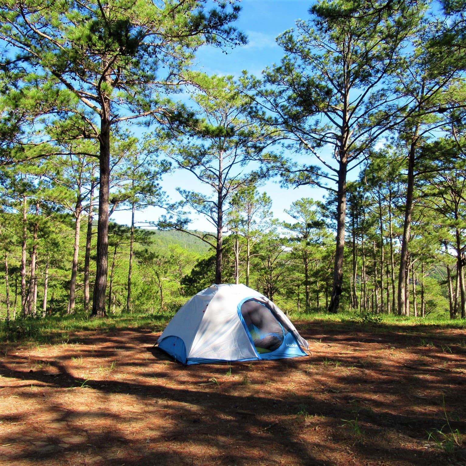 Llegan los campings premium a la costa: Huttopia invierte hasta cinco millones de dólares en Mar Azul y promete 60.000 pernoctaciones por año