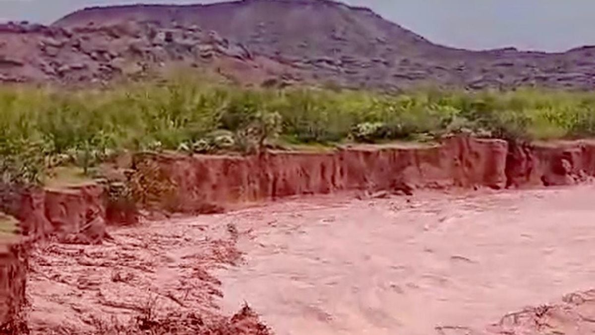 Río Neuquén: dónde consultar los caudales oficiales durante los alertas por lluvias